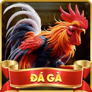 Email hỗ trợ chi tiết từ ga65
